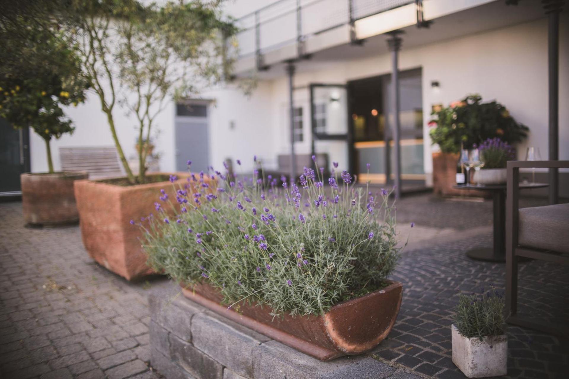 Weingut Gehlen-Cornelius Hotel Brauneberg Exterior foto